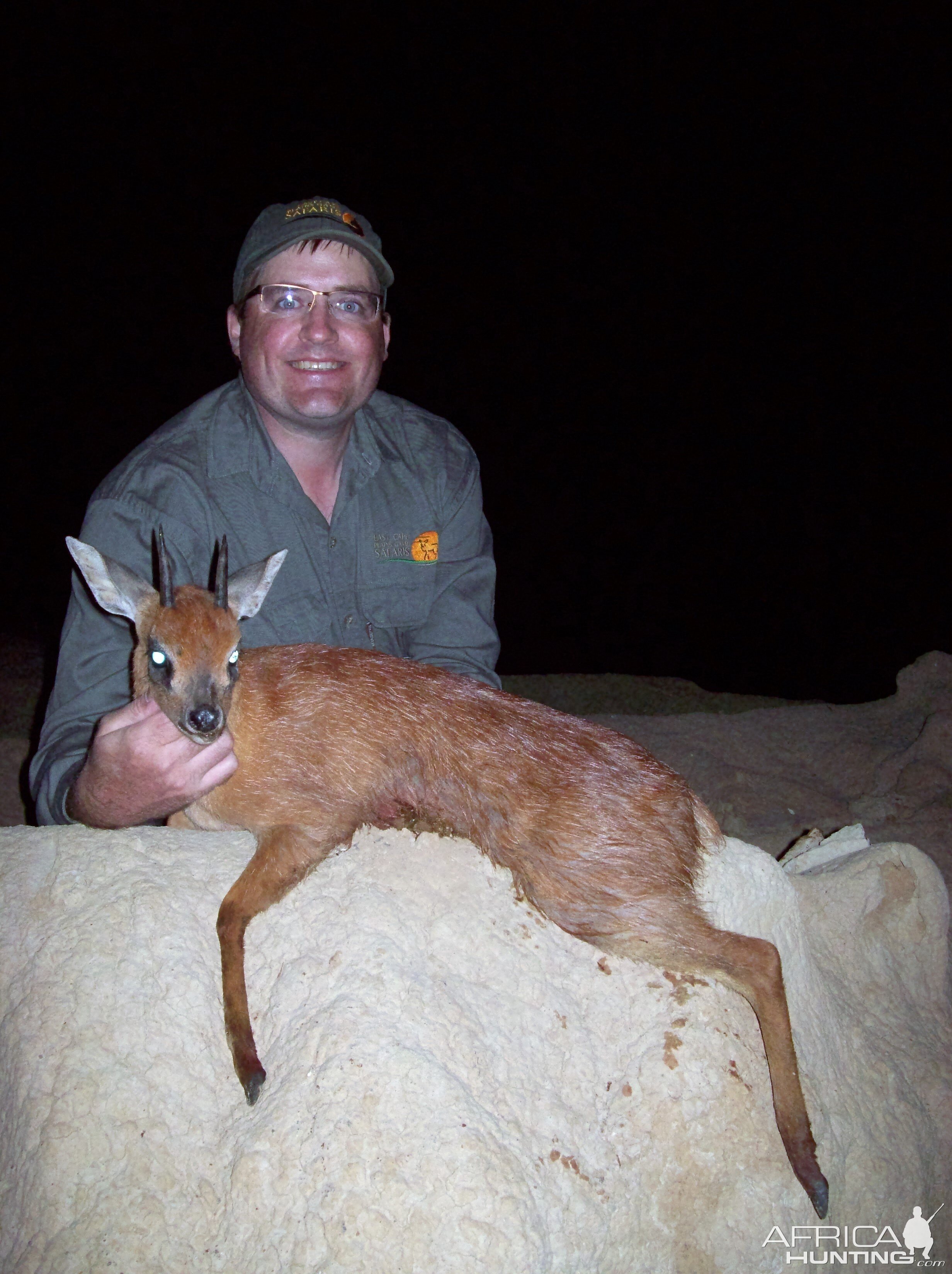 South Africa Red Duiker Hunting