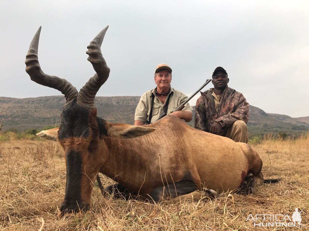 South Africa Red Hartebeest Hunt