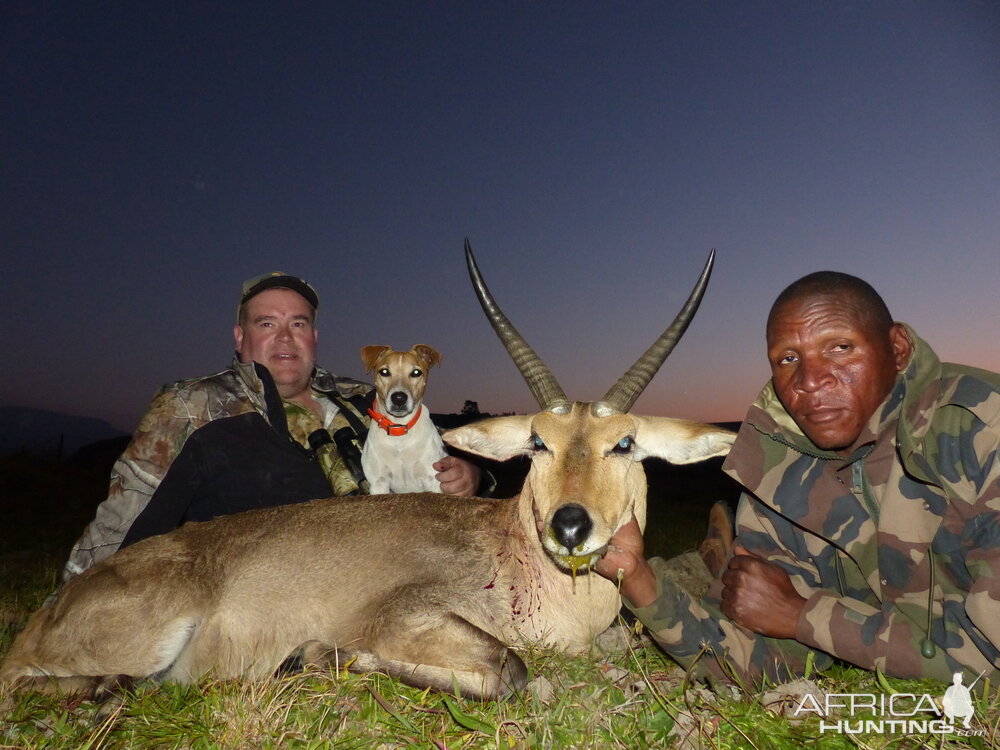 South Africa Reedbuck Hunt