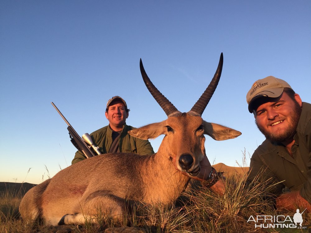 South Africa Reedbuck Hunt
