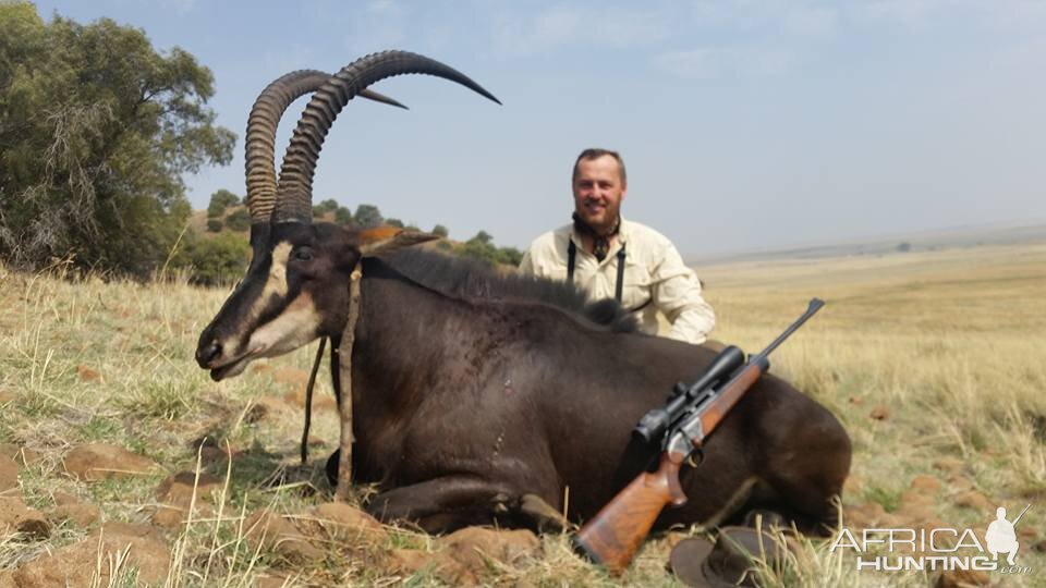 South Africa Sable Hunt