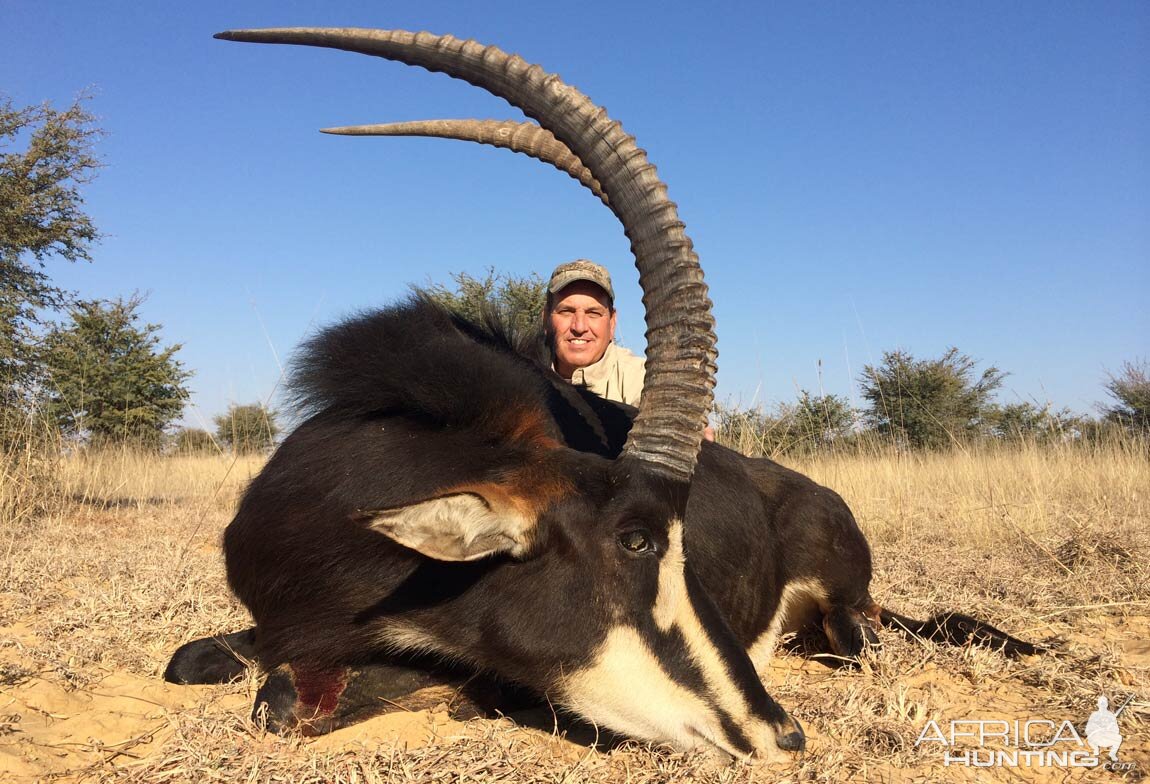 South Africa Sable Hunt