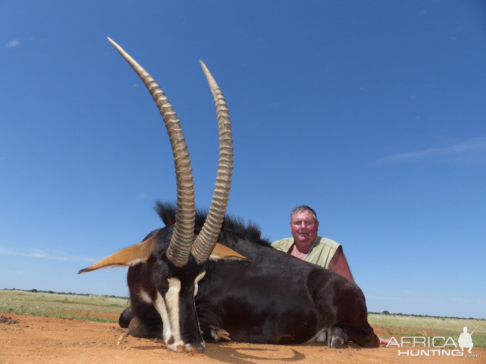 South Africa Sable Hunt