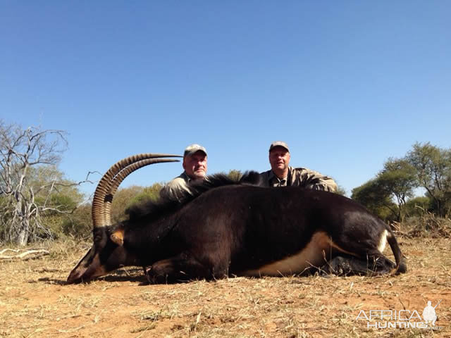 South Africa Sable Hunt