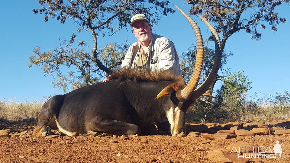 South Africa Sable Hunt