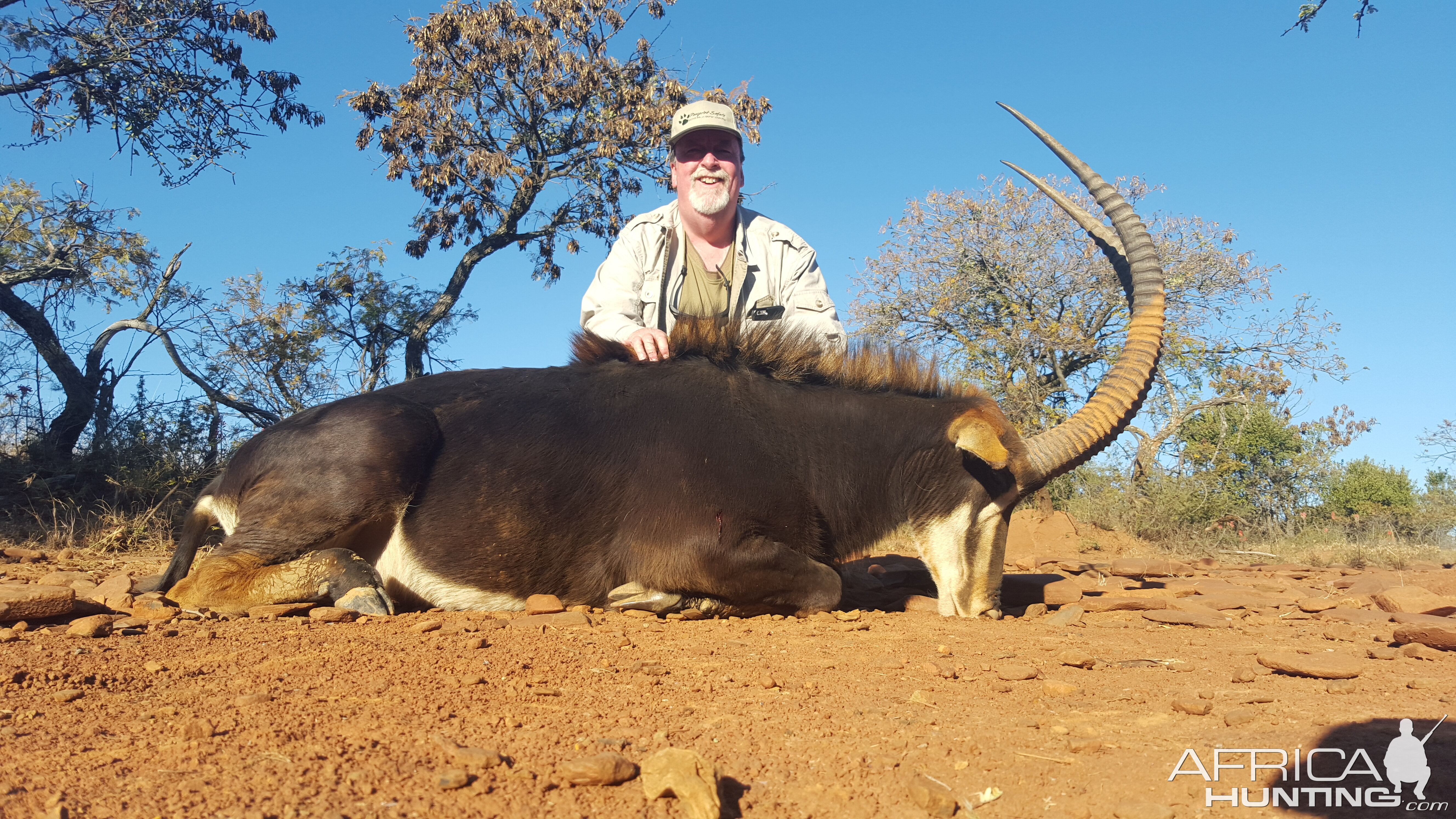 South Africa Sable Hunt