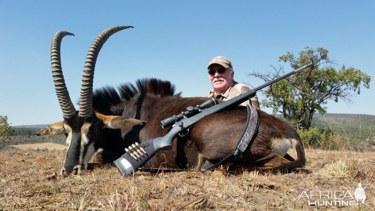 South Africa Sable Hunt