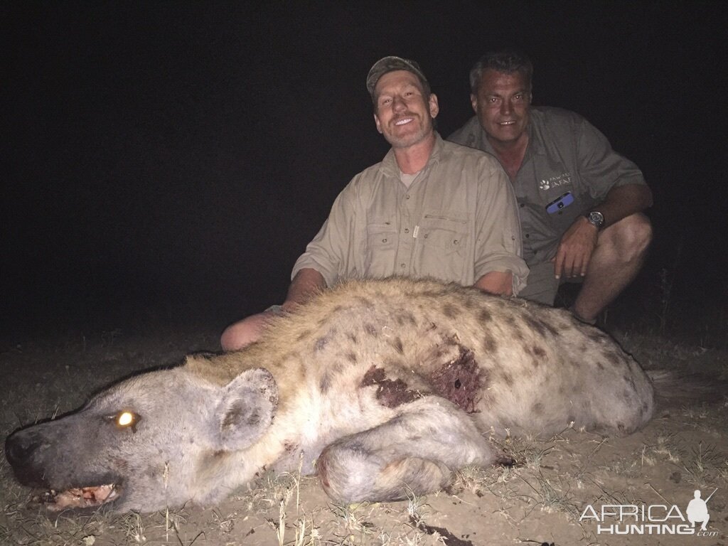 South Africa Spotted Hyena Hunt