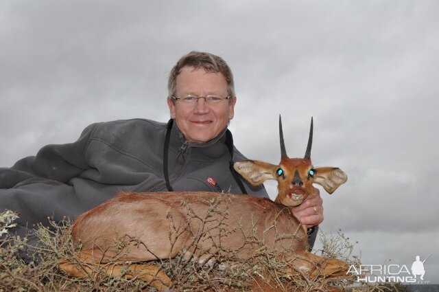 South Africa Steenbok Hunting