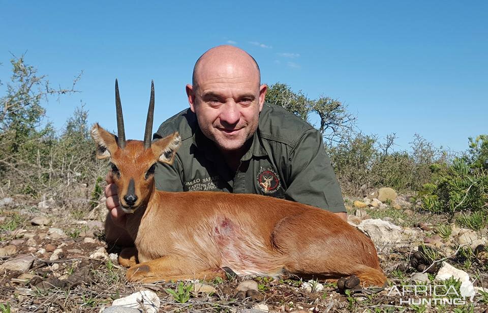 South Africa Steenbuck Hunting