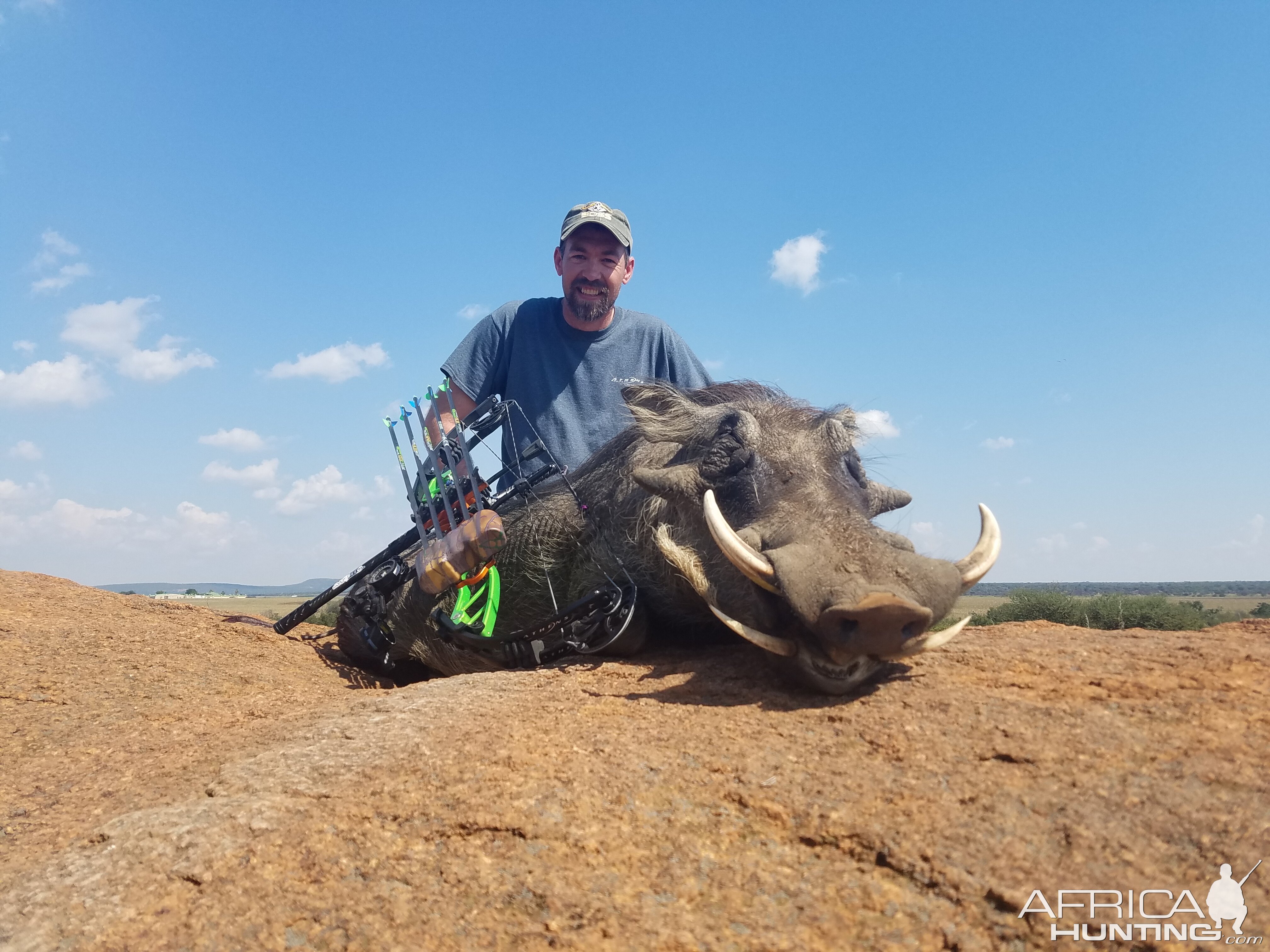 South Africa Warthog Bow Hunt | AfricaHunting.com