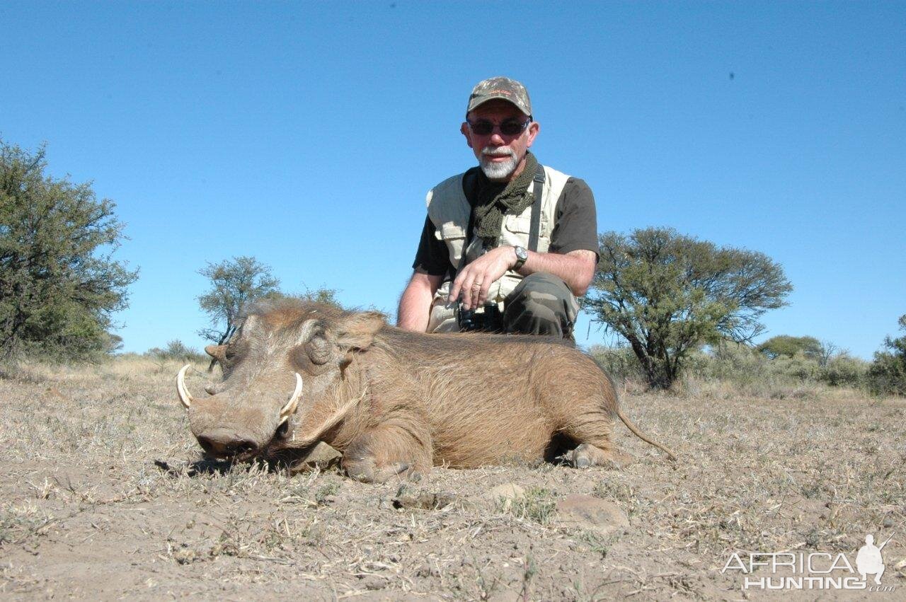 South Africa Warthog Hunt | AfricaHunting.com