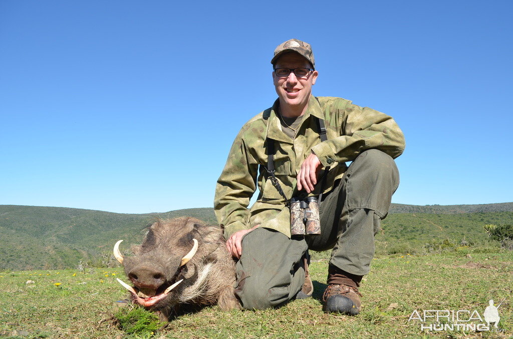 South Africa Warthog Hunt