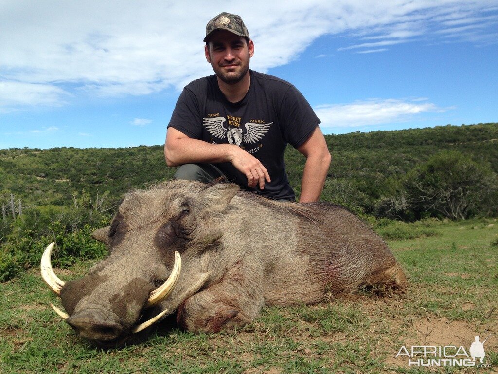 South Africa Warthog Hunt