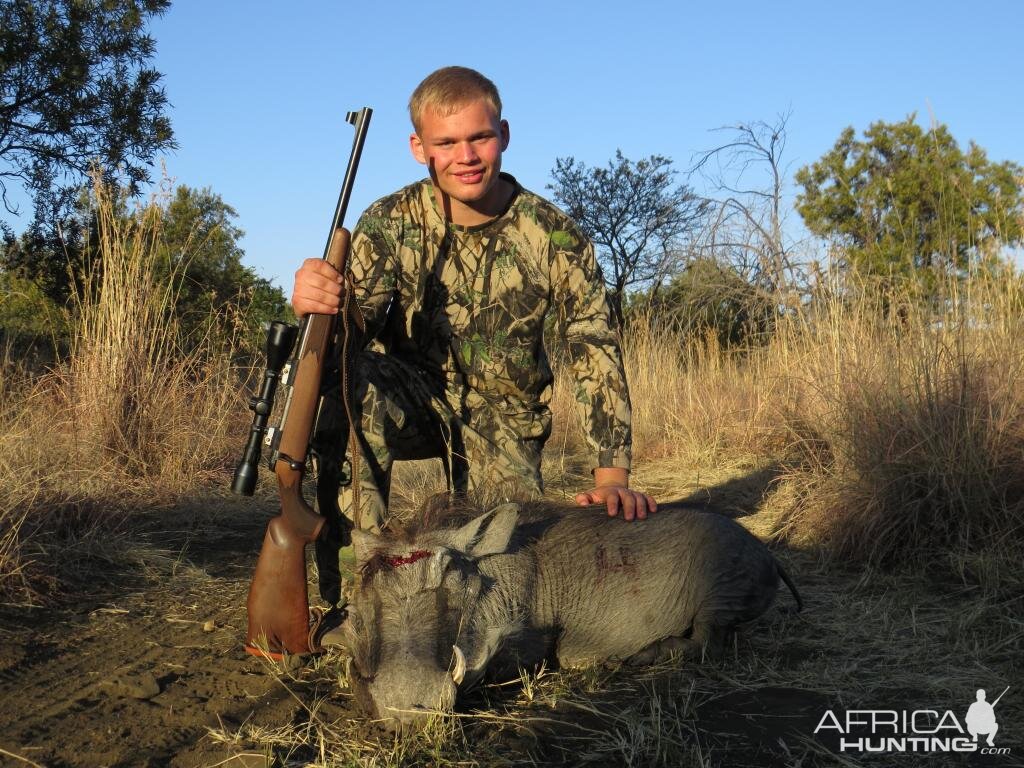 South Africa Warthog Hunt