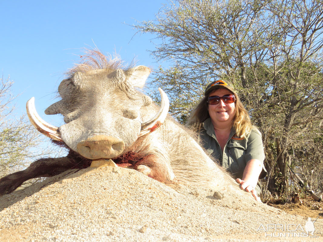 South Africa Warthog Hunt