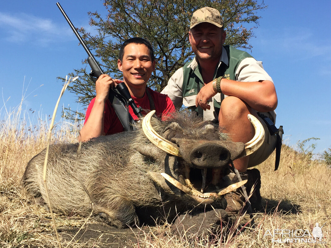 South Africa Warthog Hunt