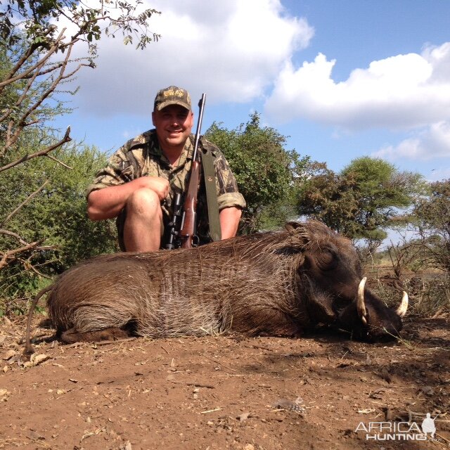 South Africa Warthog Hunt