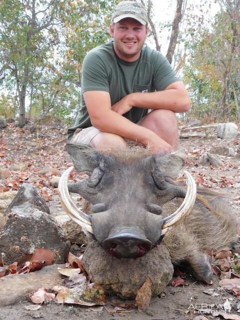 South Africa Warthog Hunt