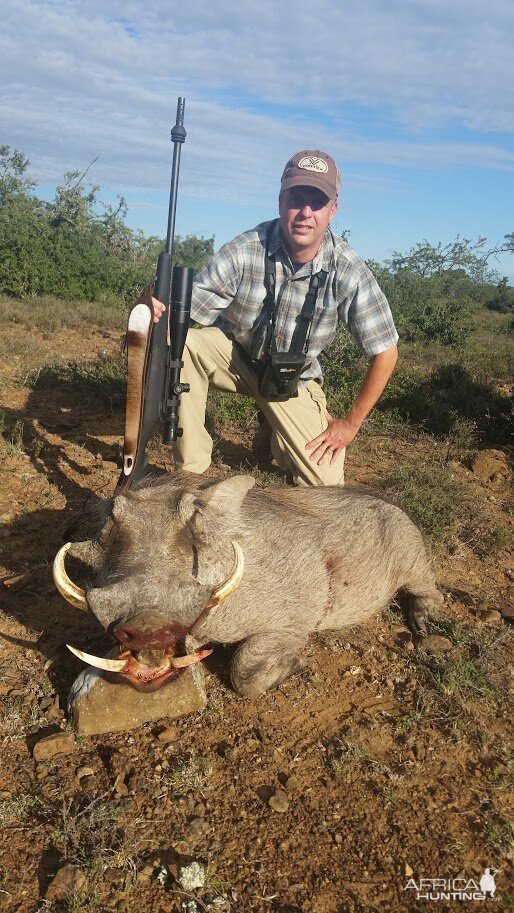 South Africa Warthog Hunt