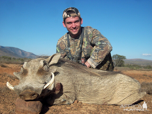 South Africa Warthog Hunt | AfricaHunting.com