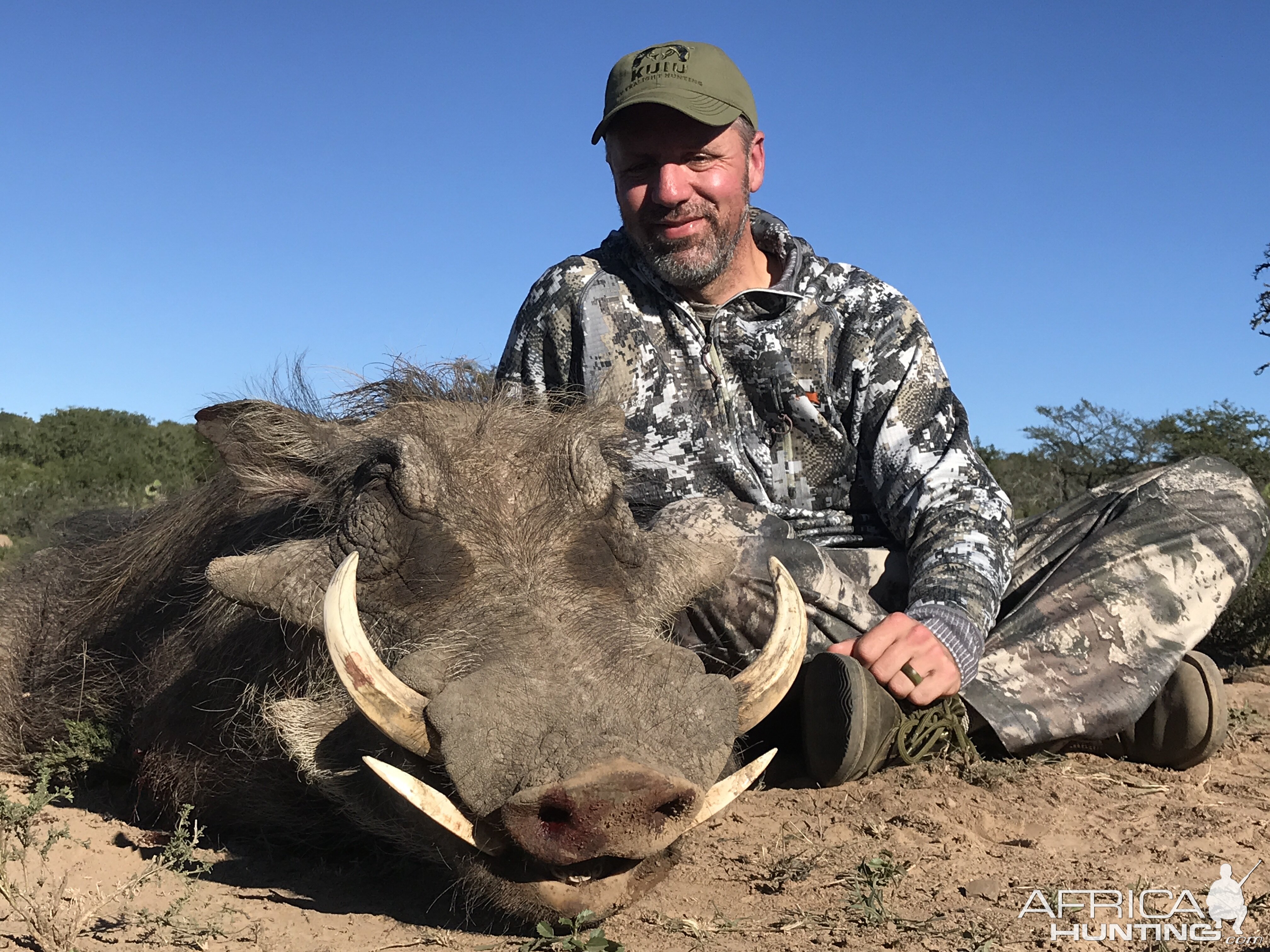 South Africa Warthog Hunt | AfricaHunting.com