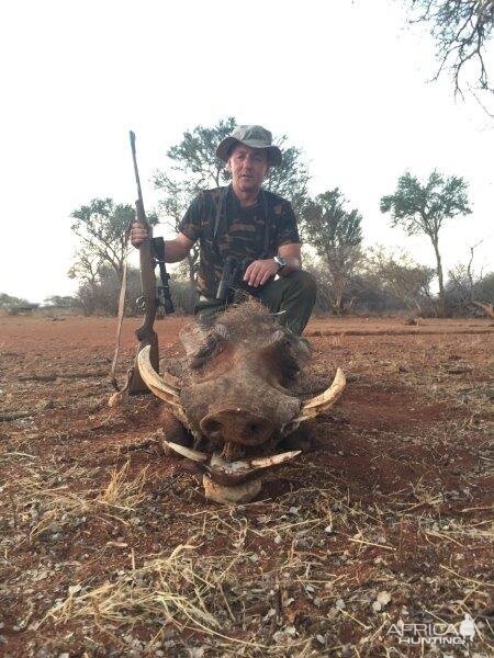 South Africa Warthog Hunt