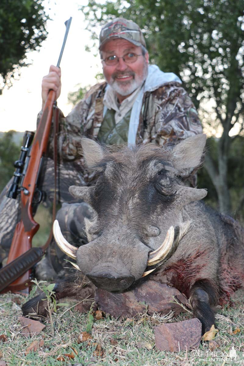 South Africa Warthog Hunt