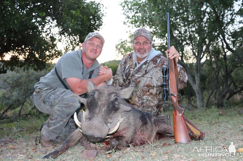 South Africa Warthog Hunt