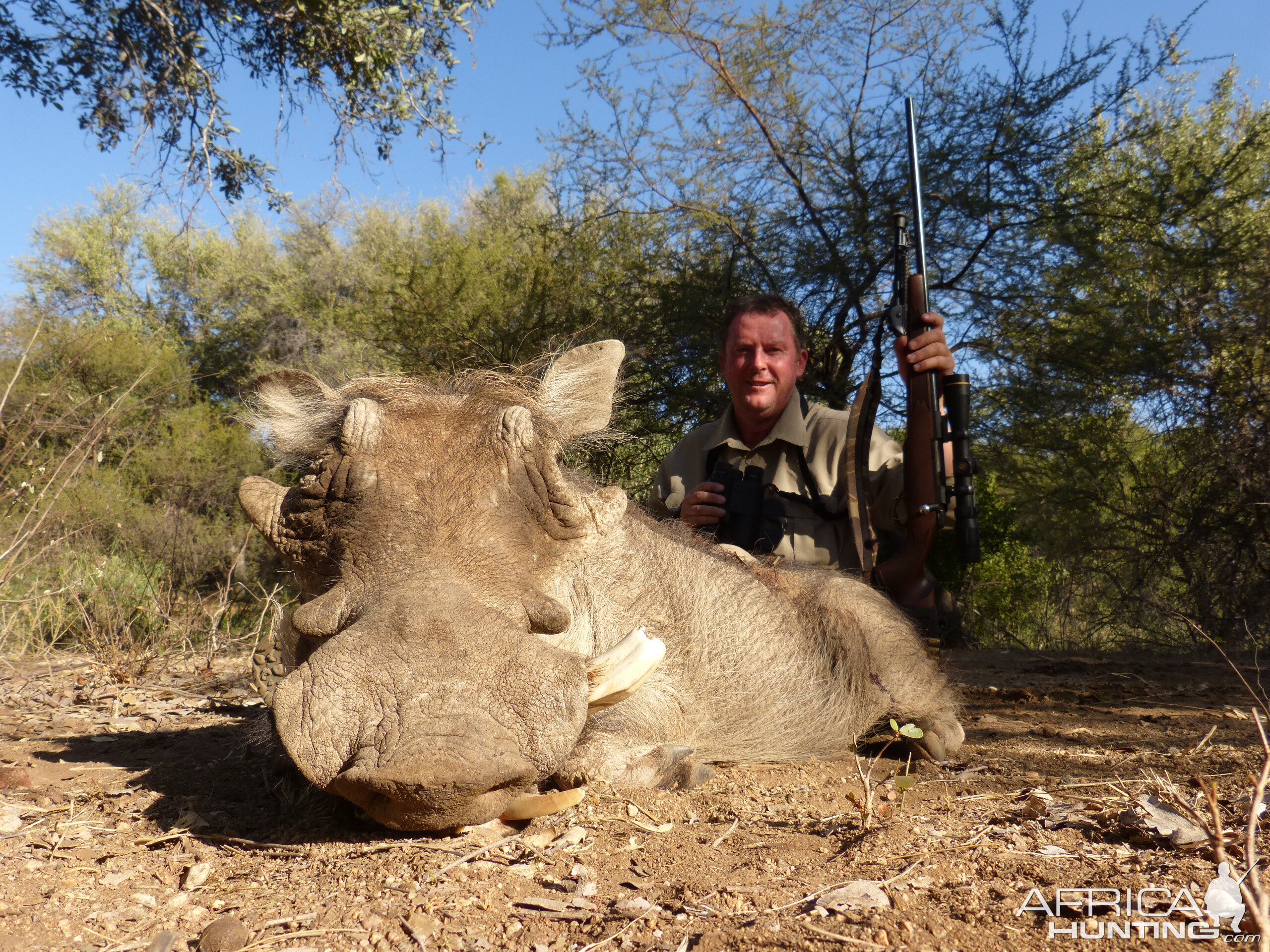 South Africa Warthog Hunt