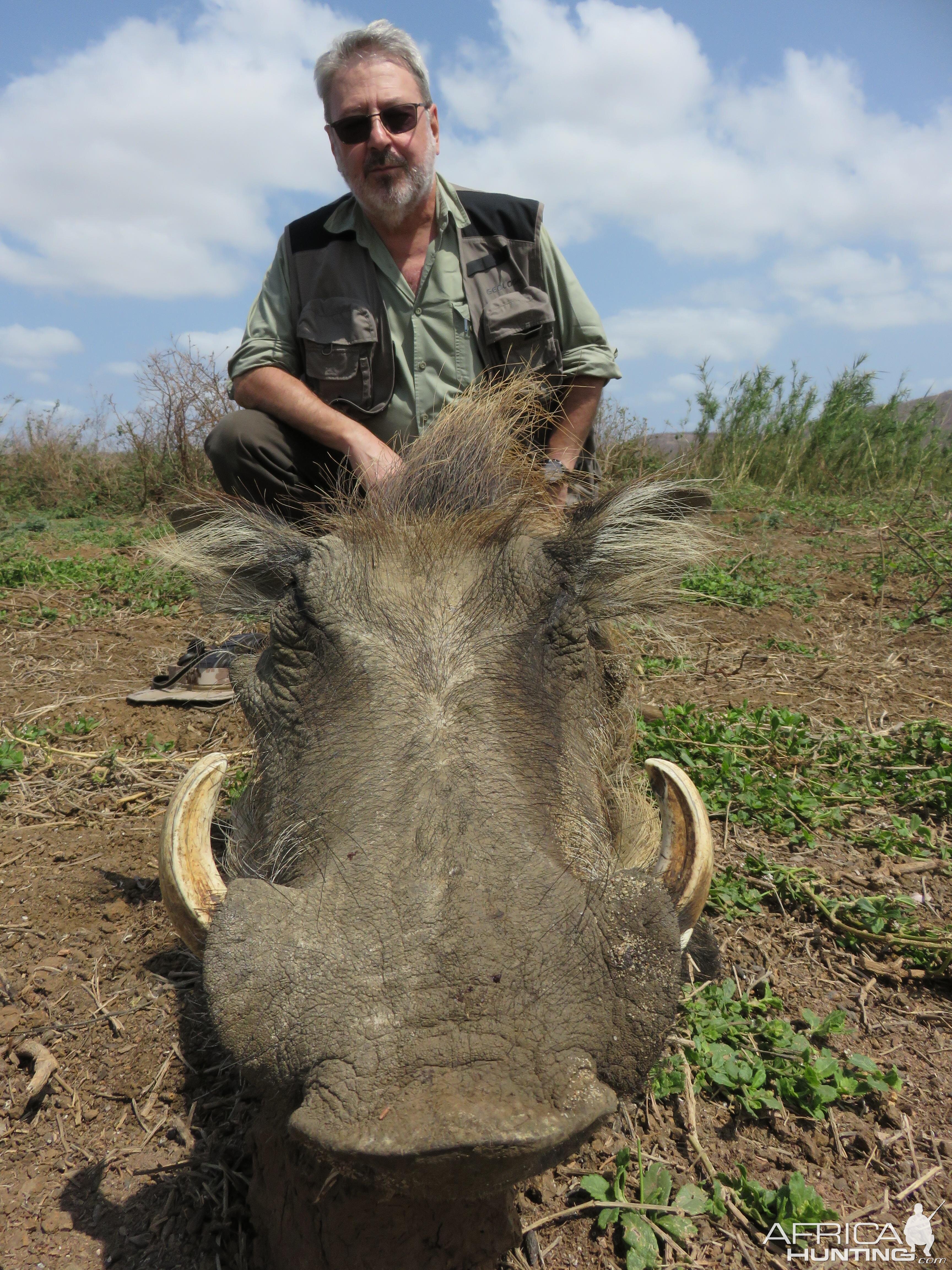 South Africa Warthog Hunt