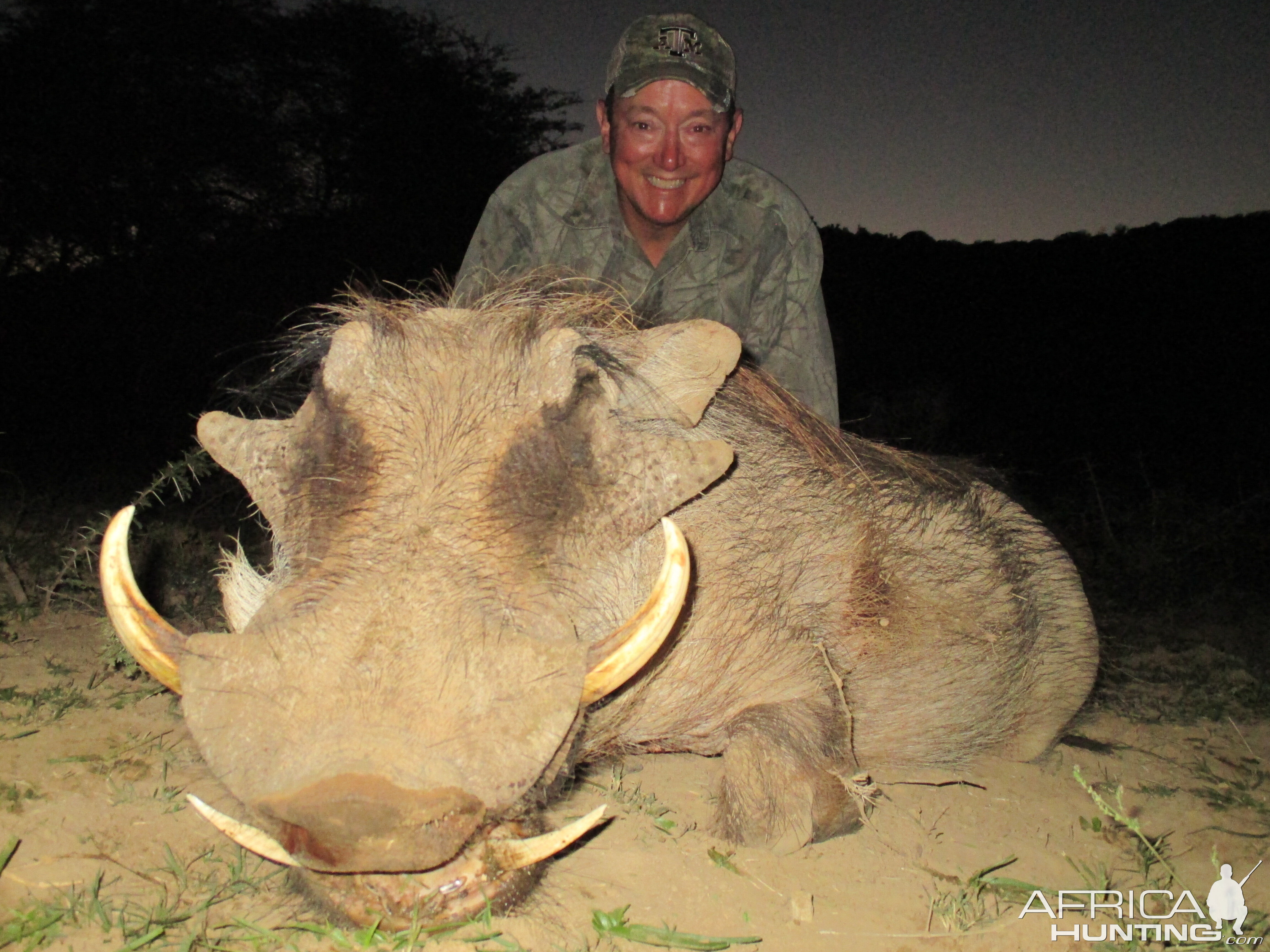 South Africa Warthog Hunt