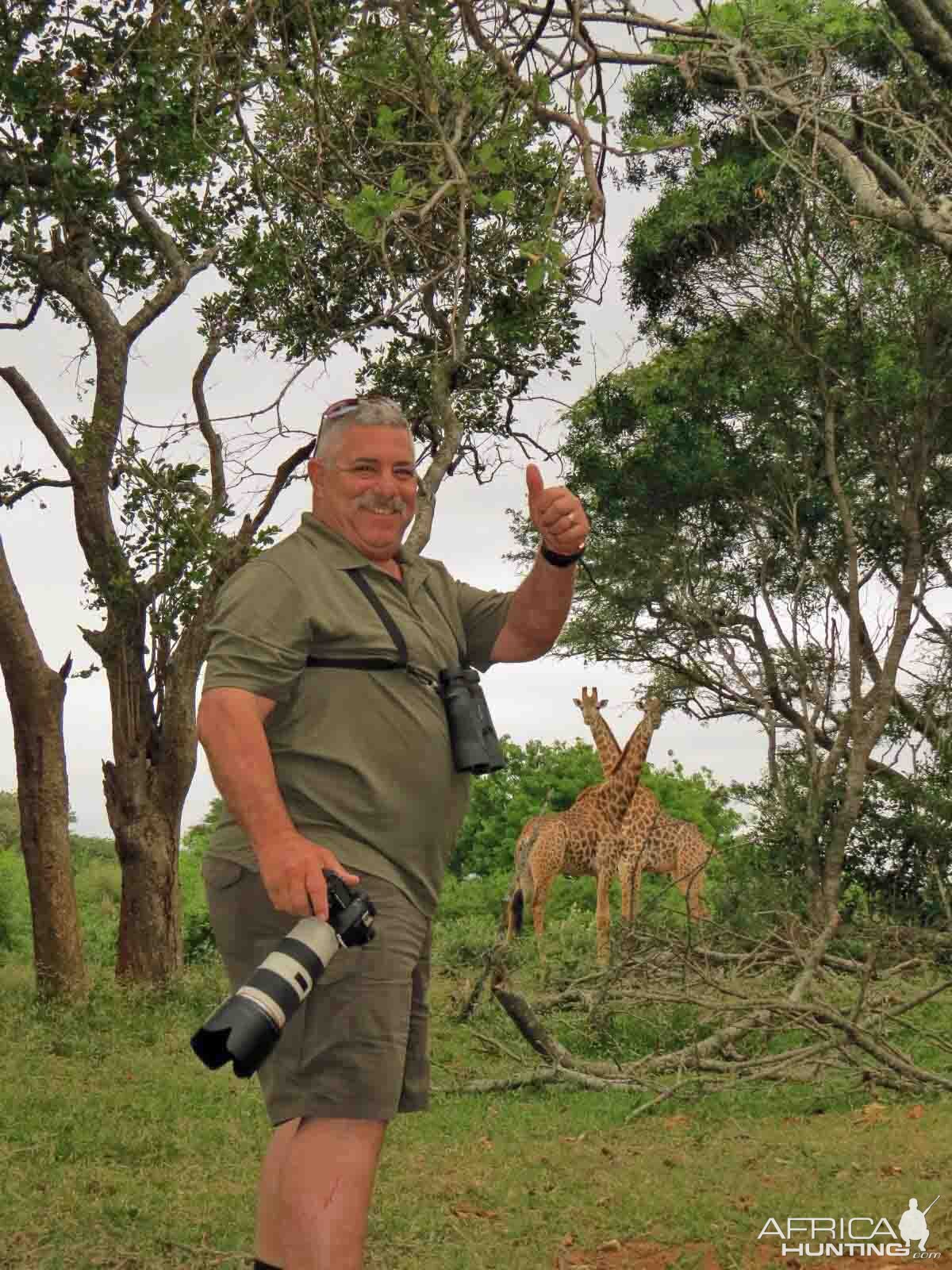 South Africa Wildlife Giraffe