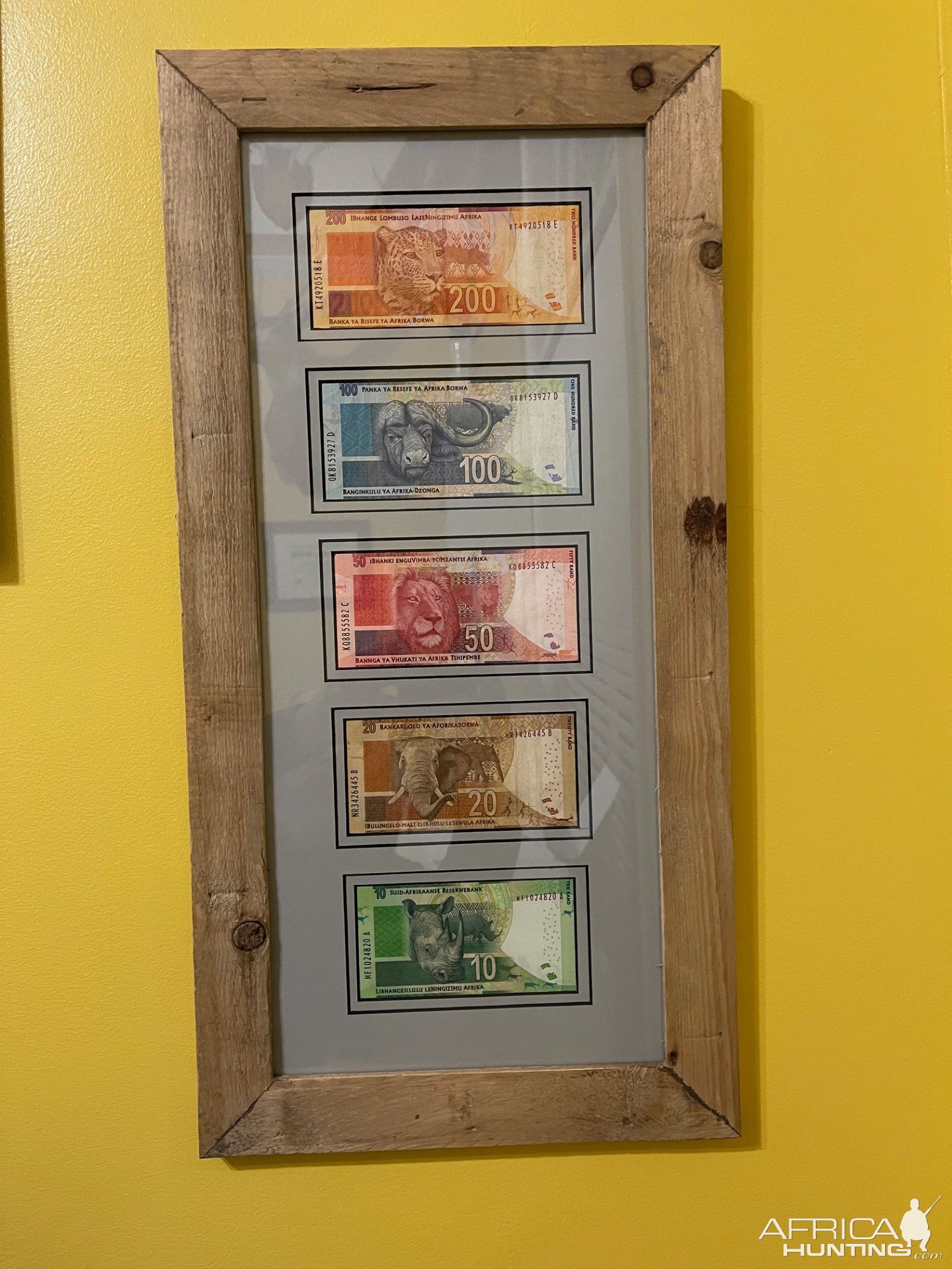 South African Big 5 Currency