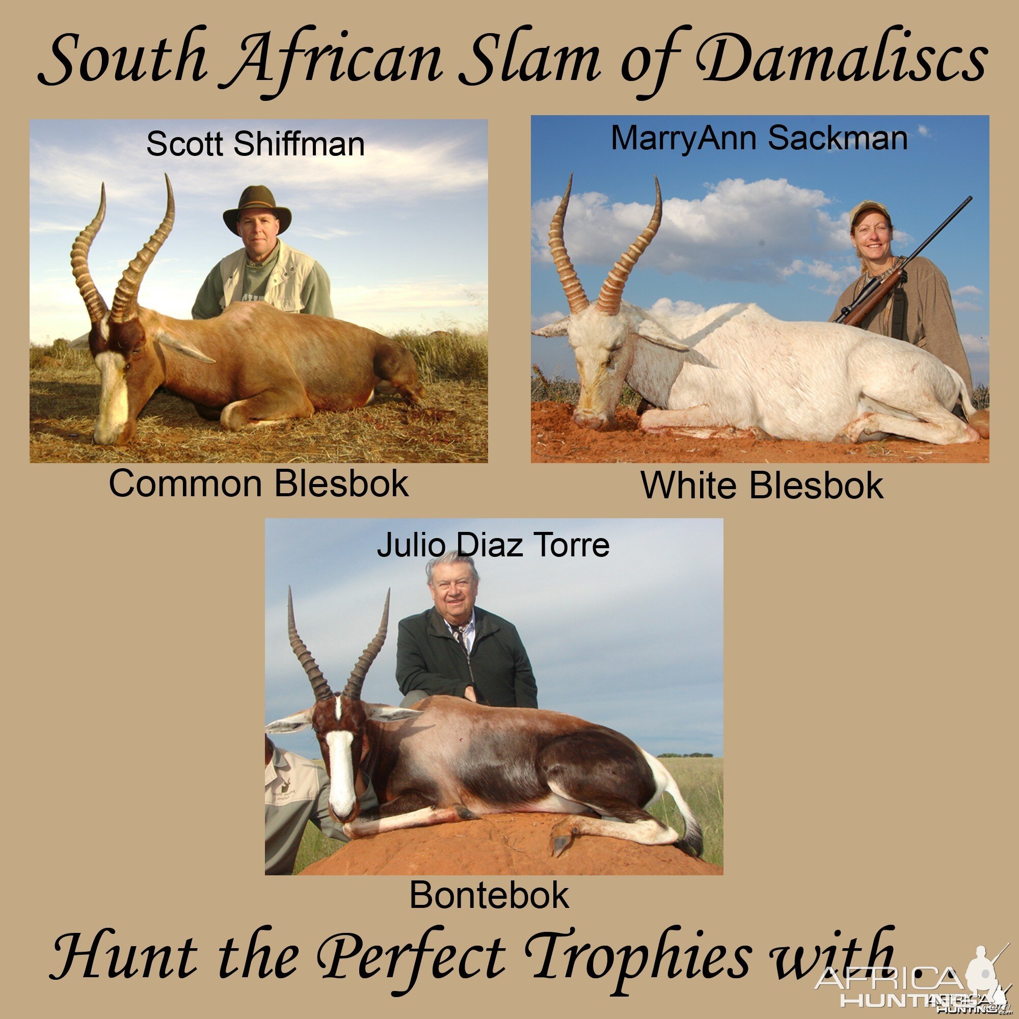 South African Slam of Damaliscs