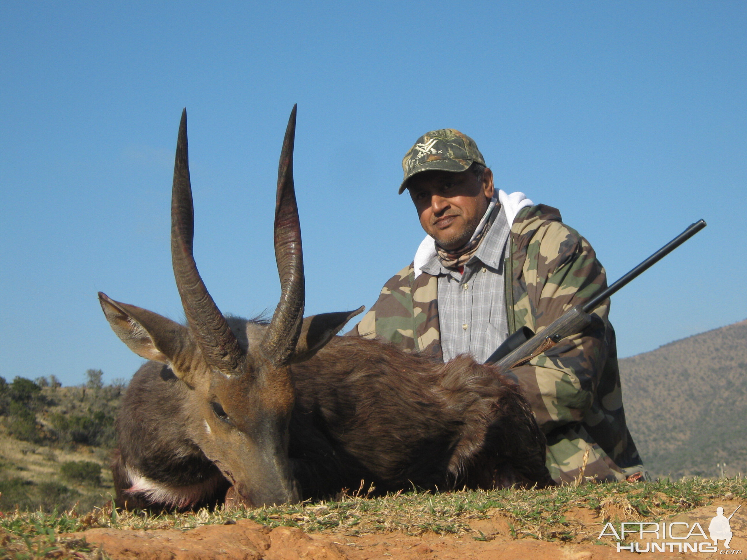 Southern bushbuck from Mankazana Valley.