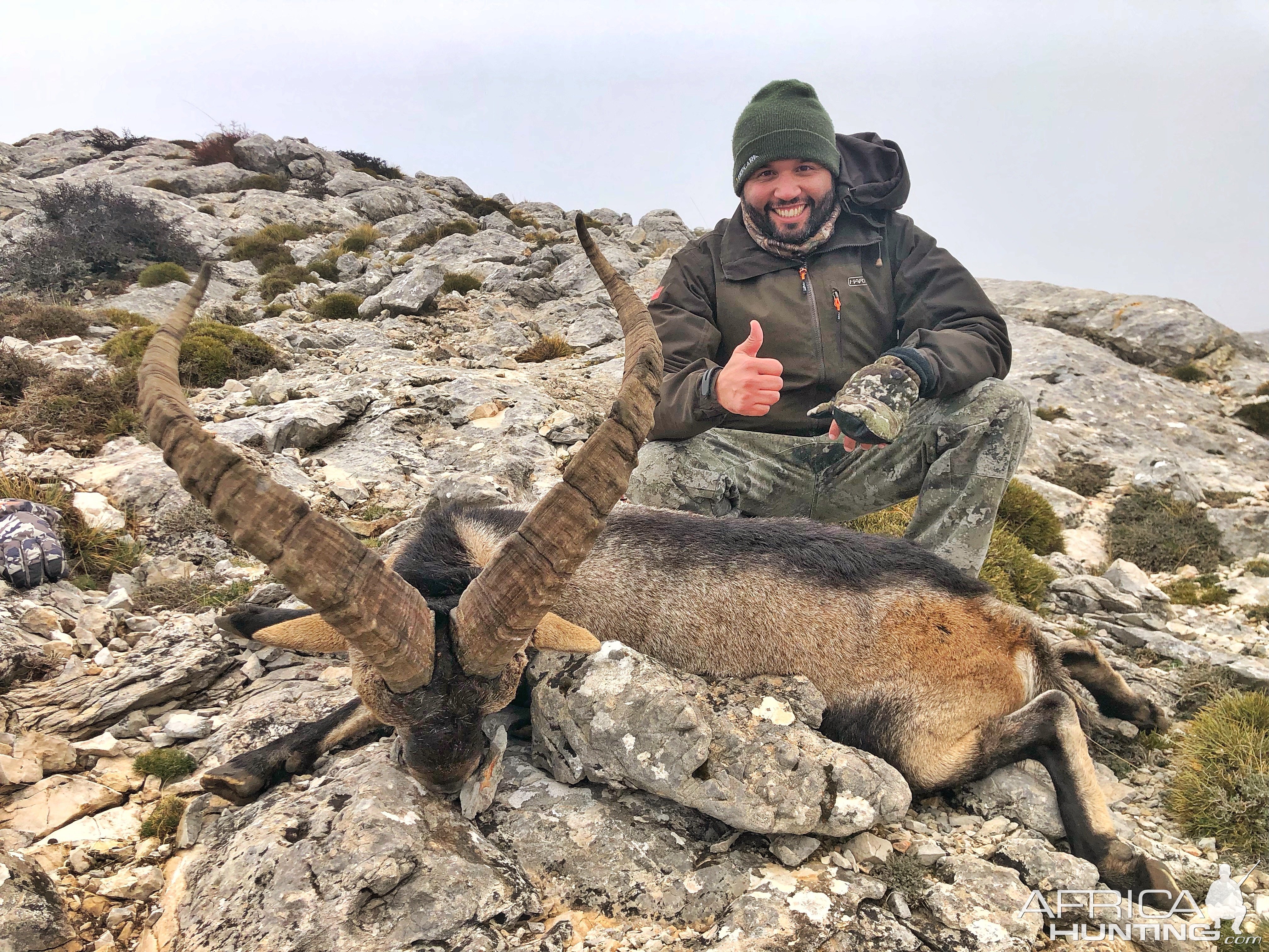 Spain Ibex Hunt.