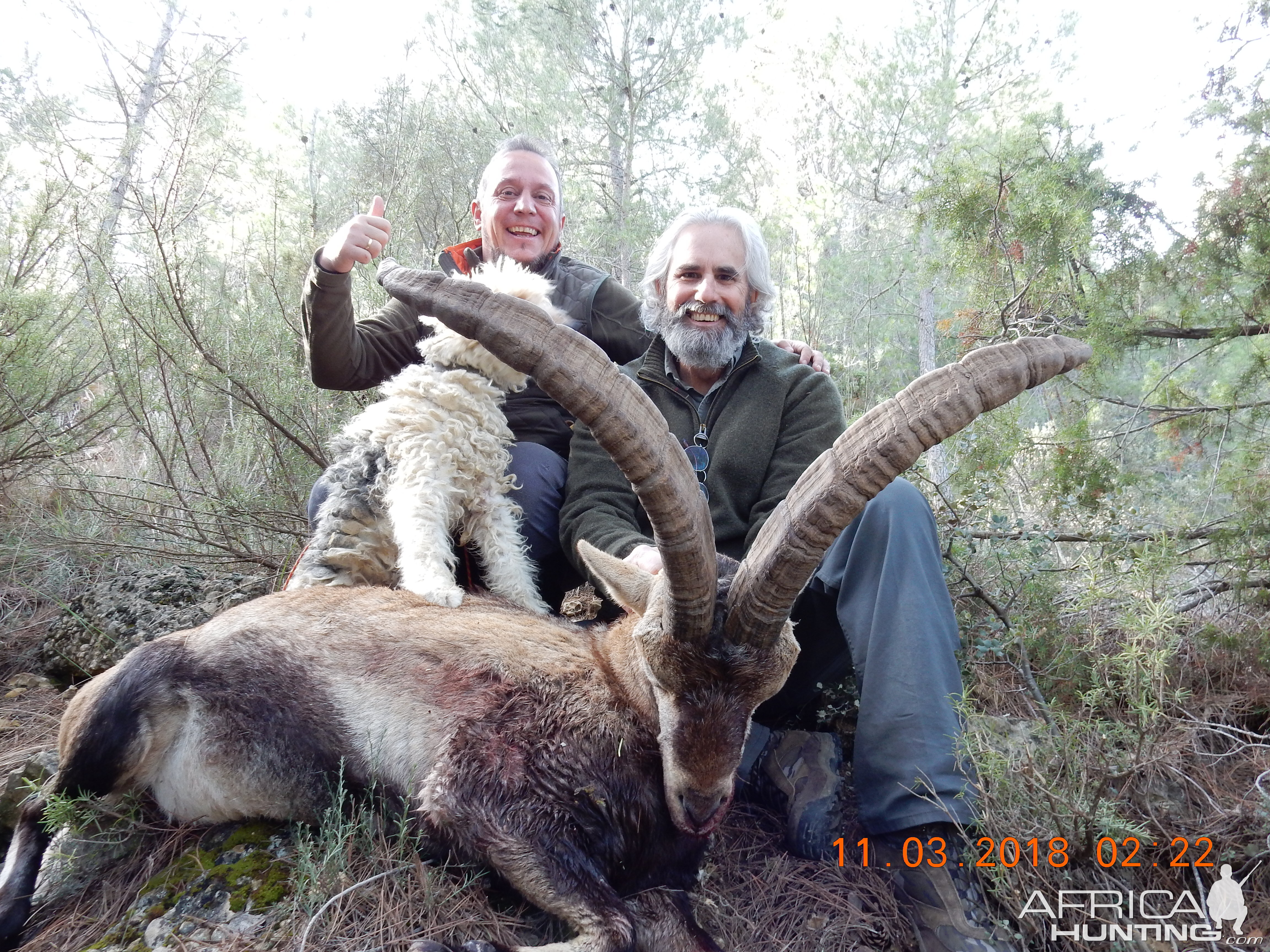 Spanish Ibex Hunt Spain