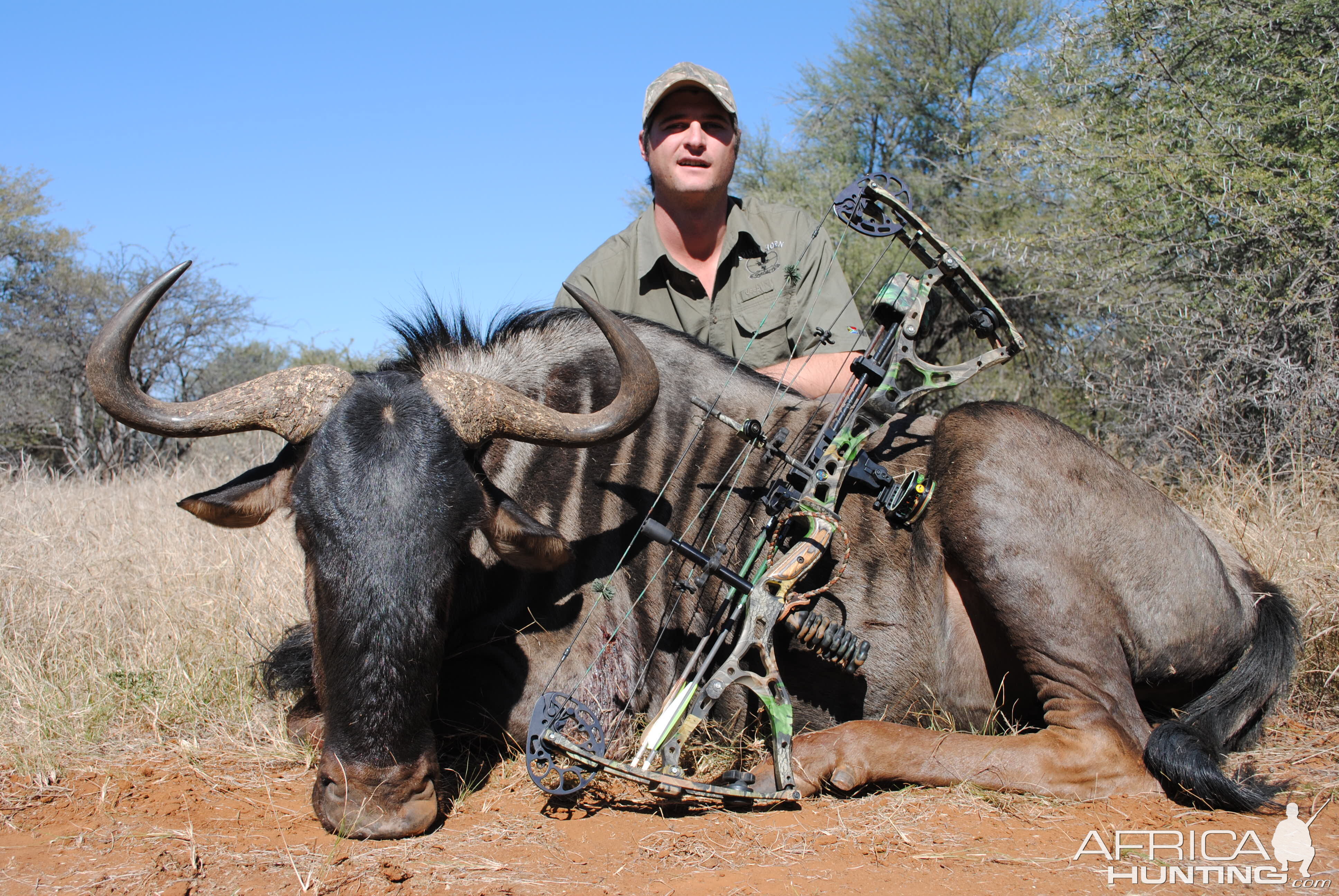 Spiral Horn Safaris