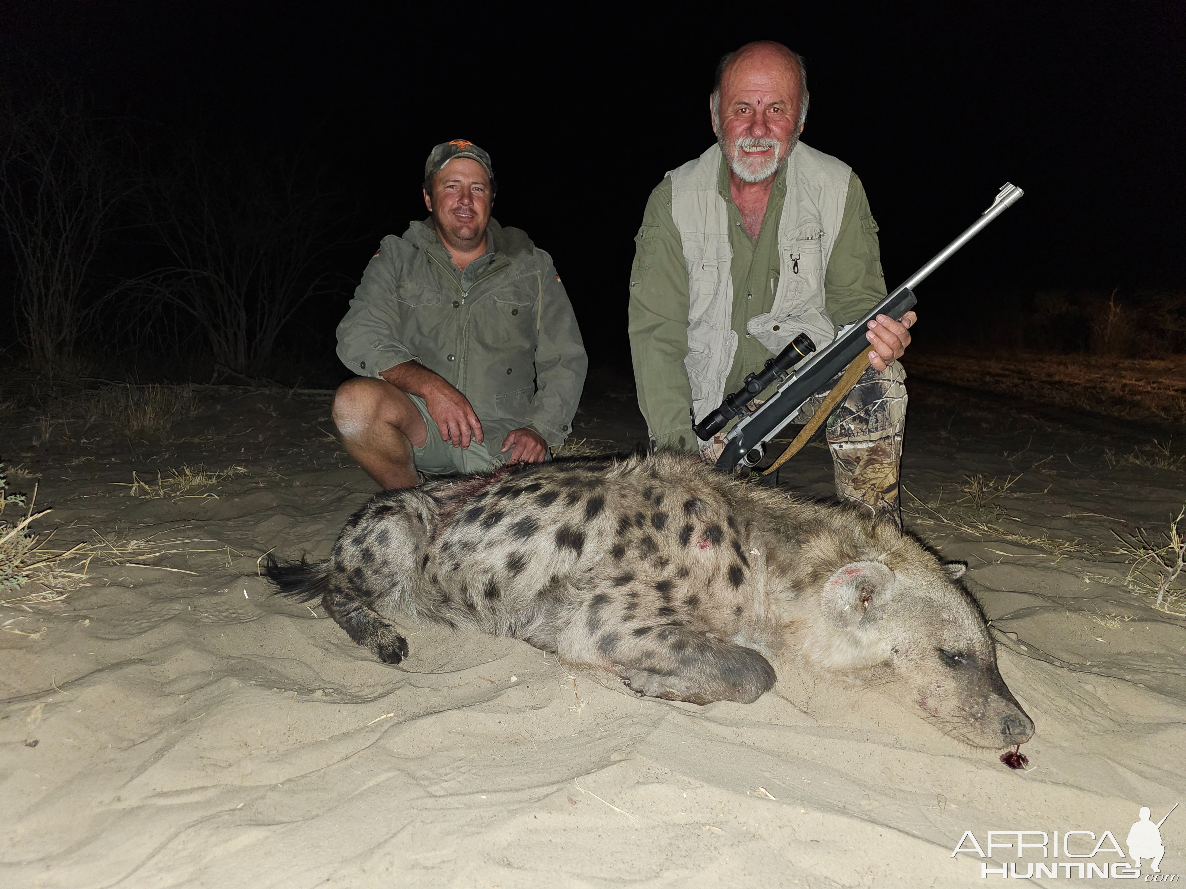 Spotted Hyena Hunt Botswana