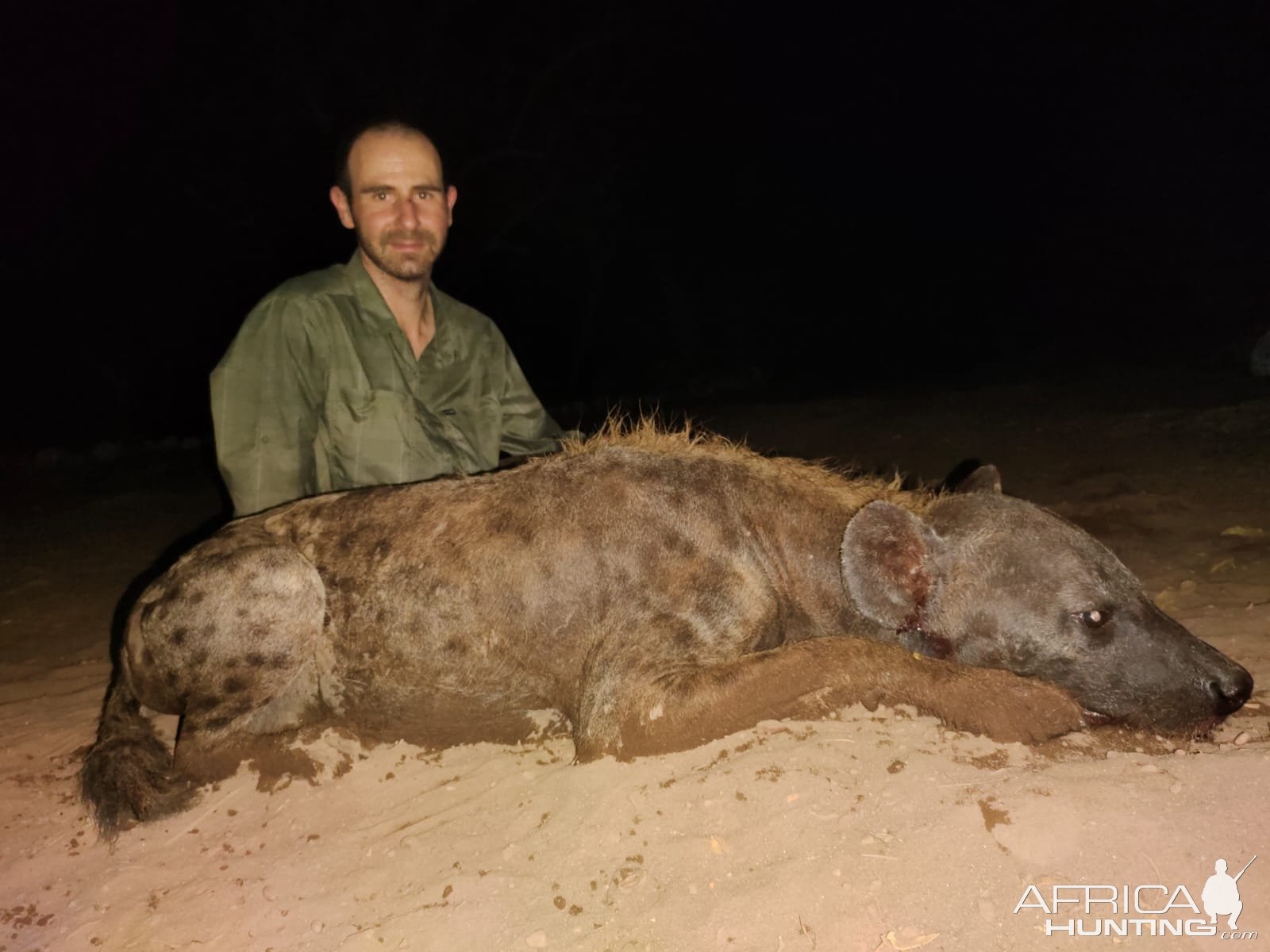 Spotted Hyena Hunt Eastern Cape South Africa