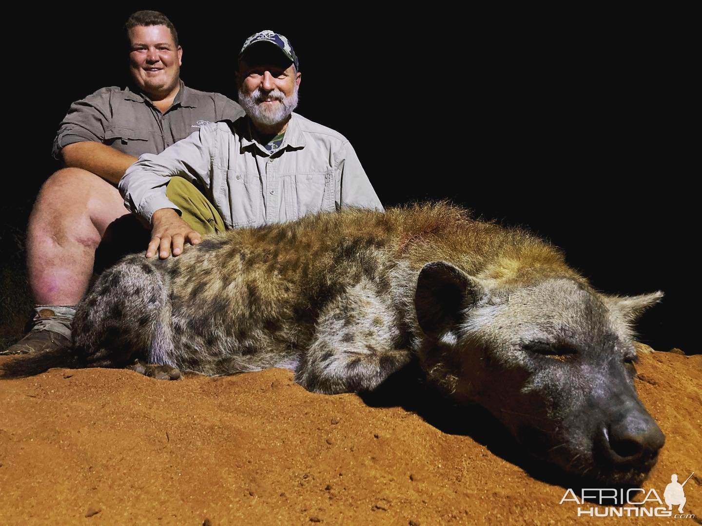 Spotted Hyena Hunt South Africa