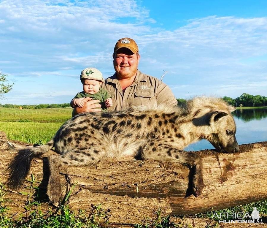 Spotted Hyena Hunt South Africa