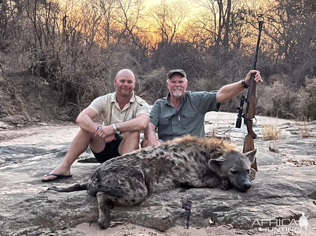 Spotted Hyena Hunt Zimbabwe