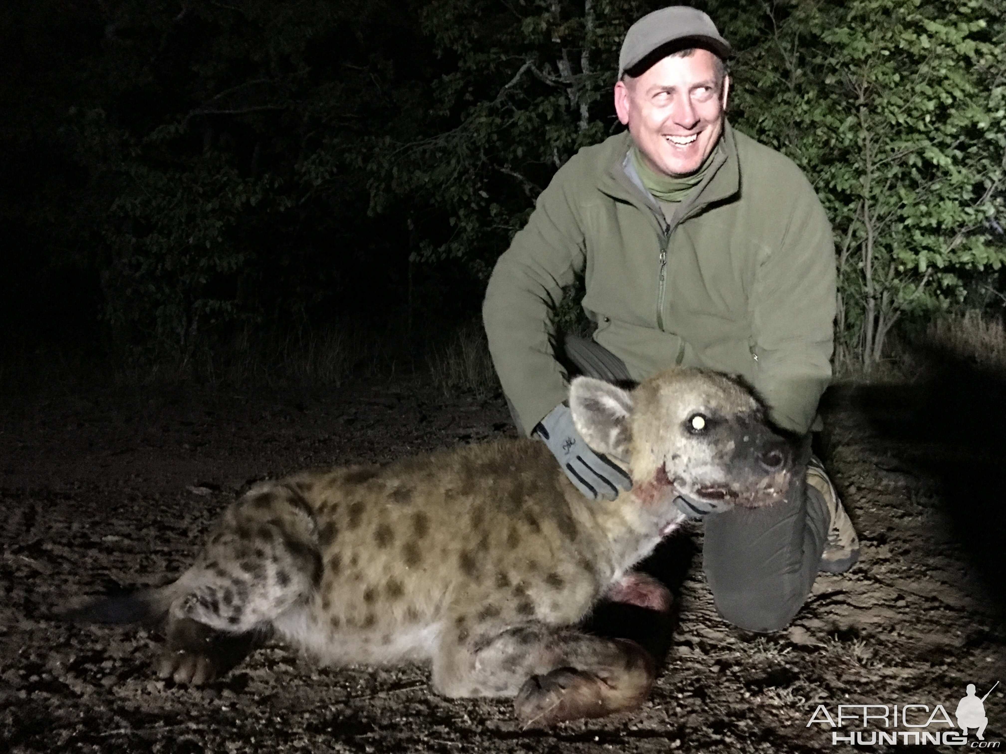 Spotted Hyena Hunting in Zimbabwe