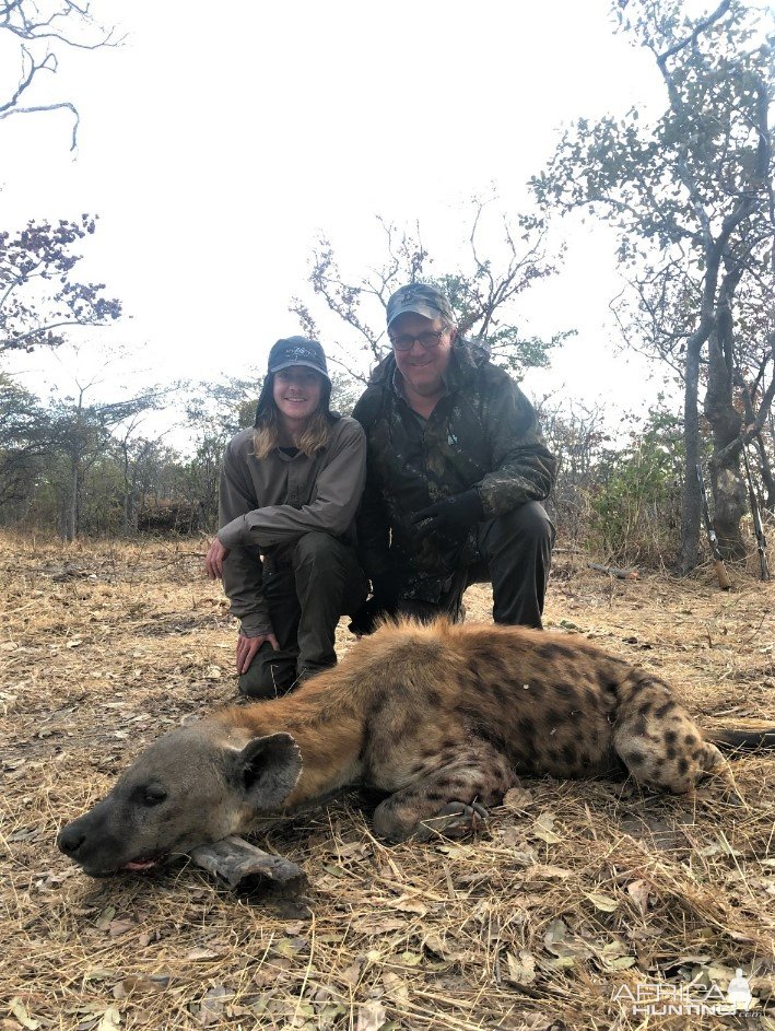 Spotted Hyena Hunting Tanzania