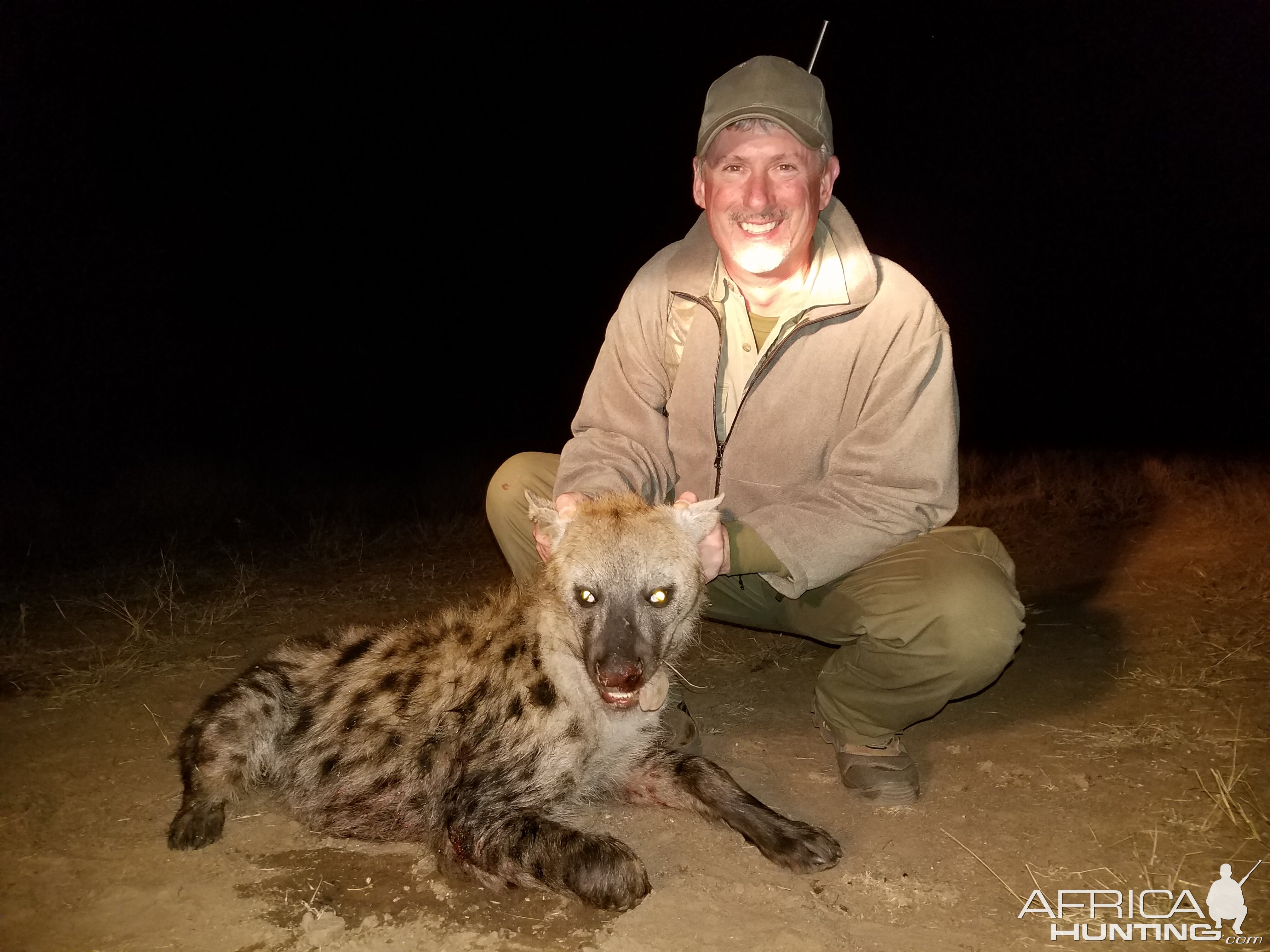 Spotted Hyena Hunting Zimbabwe