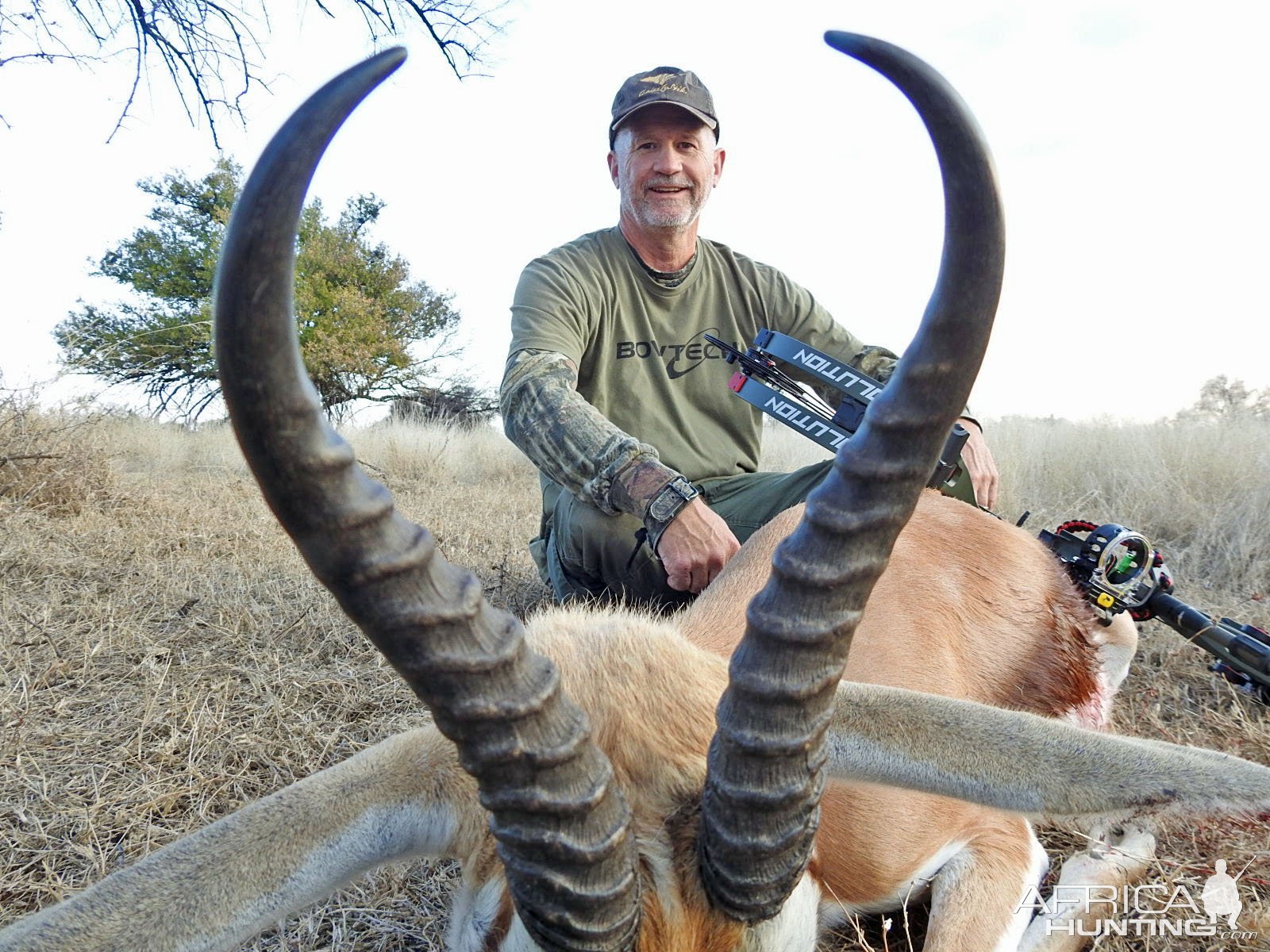 Springbok Bow Hunt South Africa