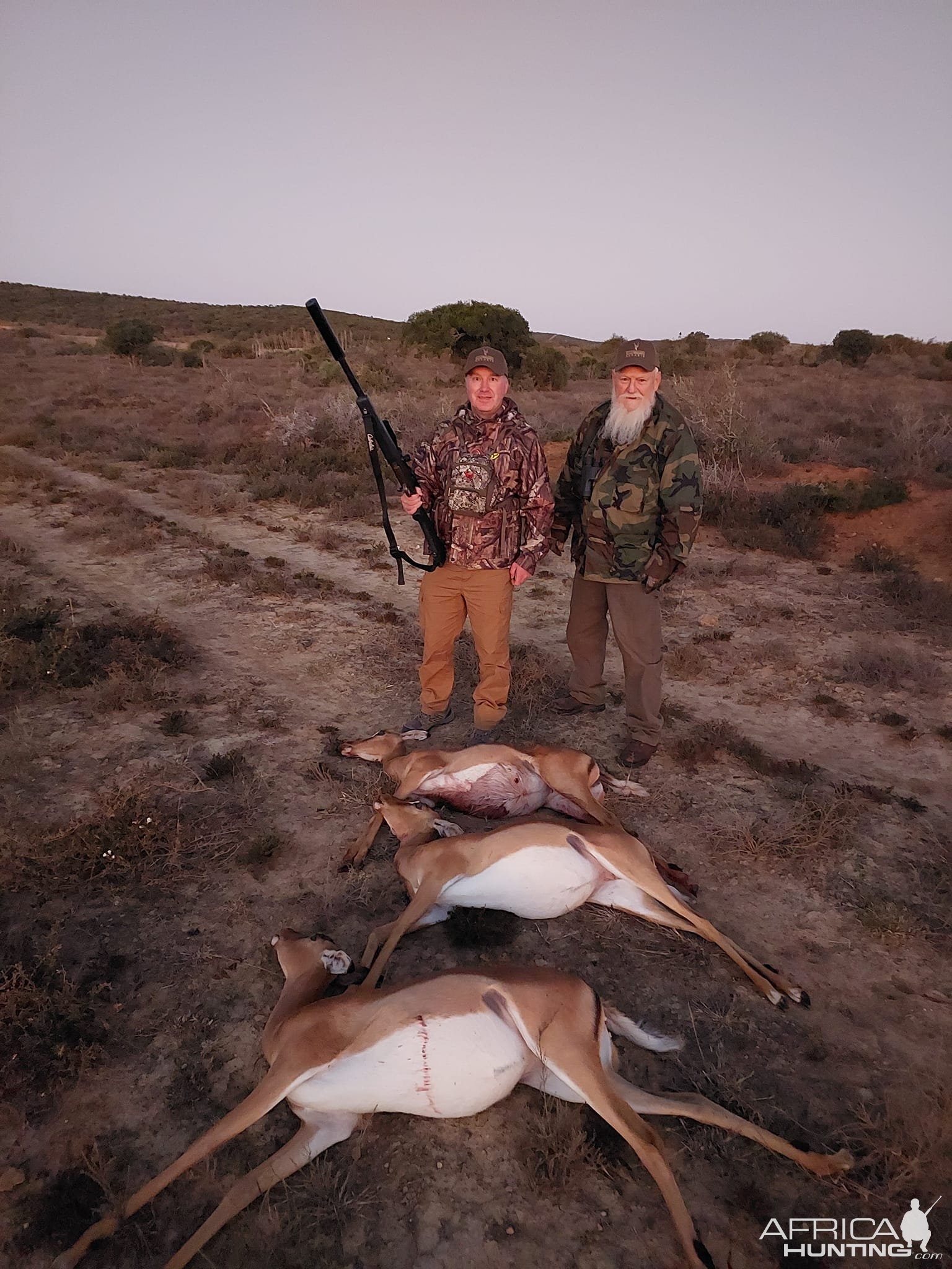 Springbok Cull Hunt Eastern Cape South Africa