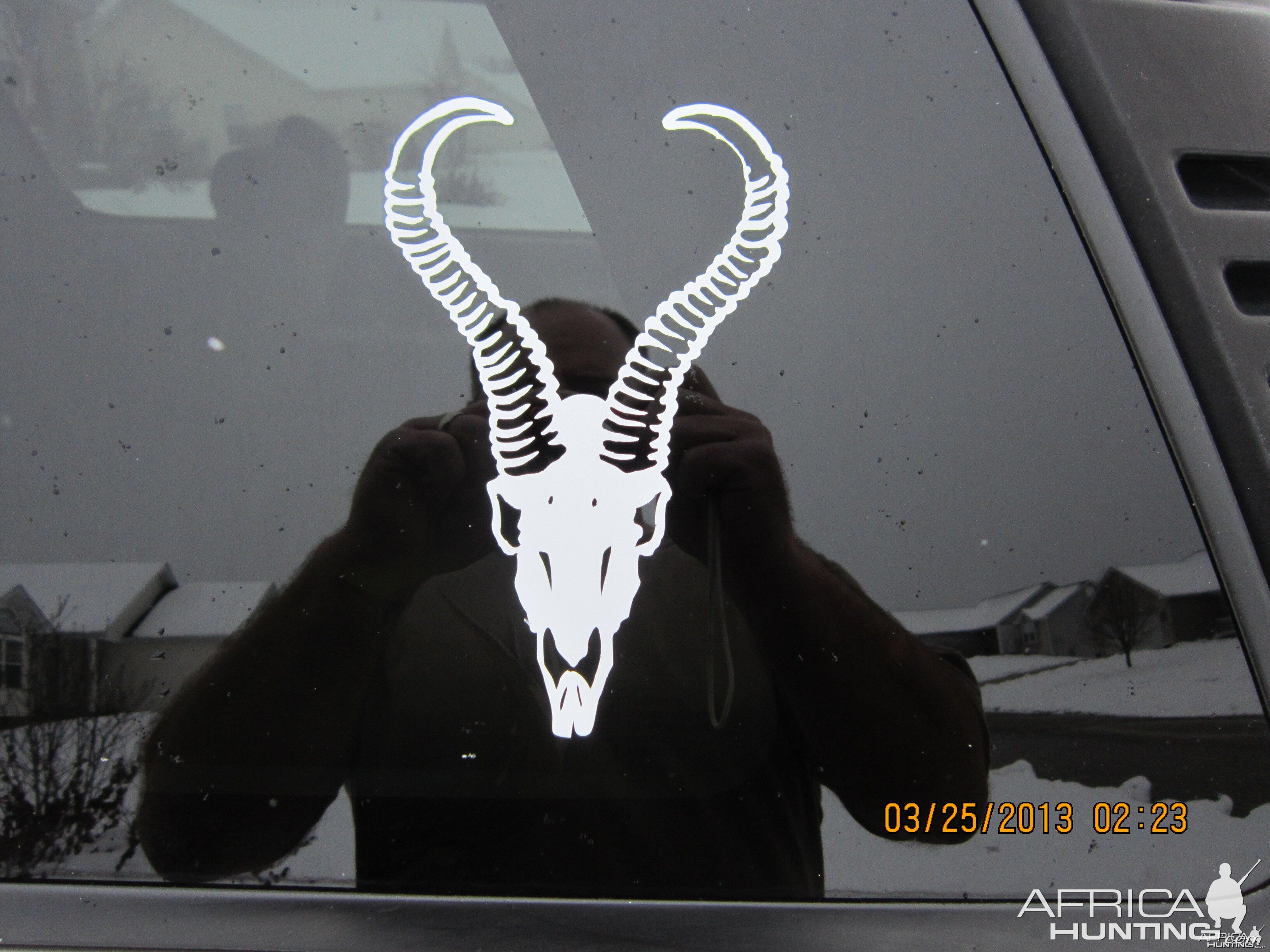 Springbok Decal Stickers | AfricaHunting.com